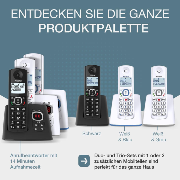 Alcatel F530 Voice Candy-Bar SOLO grau, SOLO grau