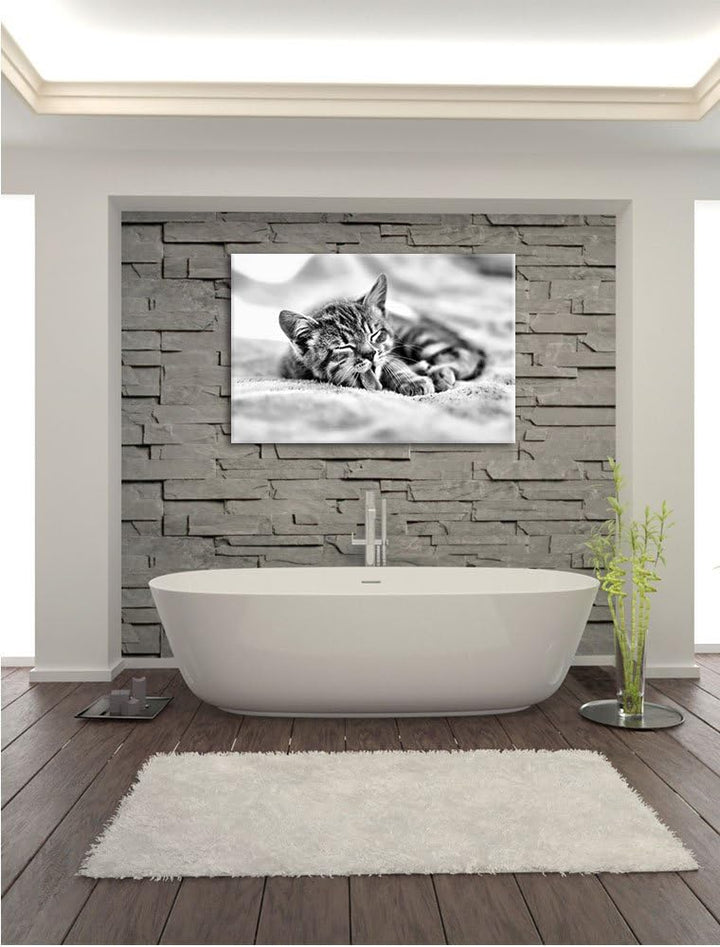 Pixxprint Kleines Kätzchen als Leinwandbild | Grösse: 100x70 | Wandbild| Kunstdruck | fertig bespann