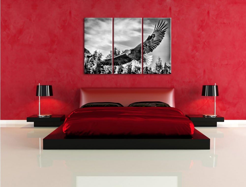 Pixxprint Adler als Leinwandbild | Grösse: 3 Teilig (120x80) | Wandbild| Kunstdruck | fertig bespann