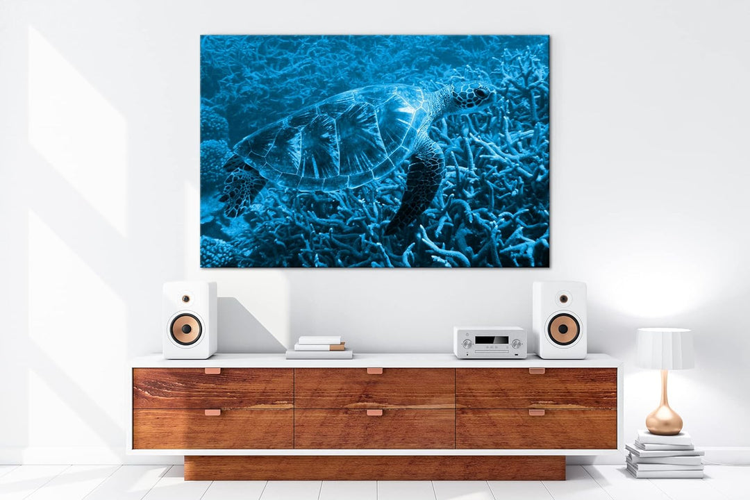 deyoli exotische Schildkröte im Ozean Format 80x60 Effekt: Monocrome Blau als Leinwandbild, Motiv fe
