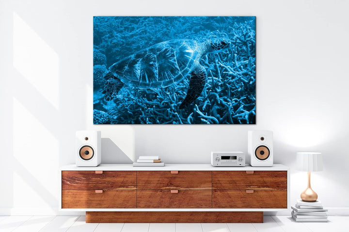 deyoli exotische Schildkröte im Ozean Format 80x60 Effekt: Monocrome Blau als Leinwandbild, Motiv fe