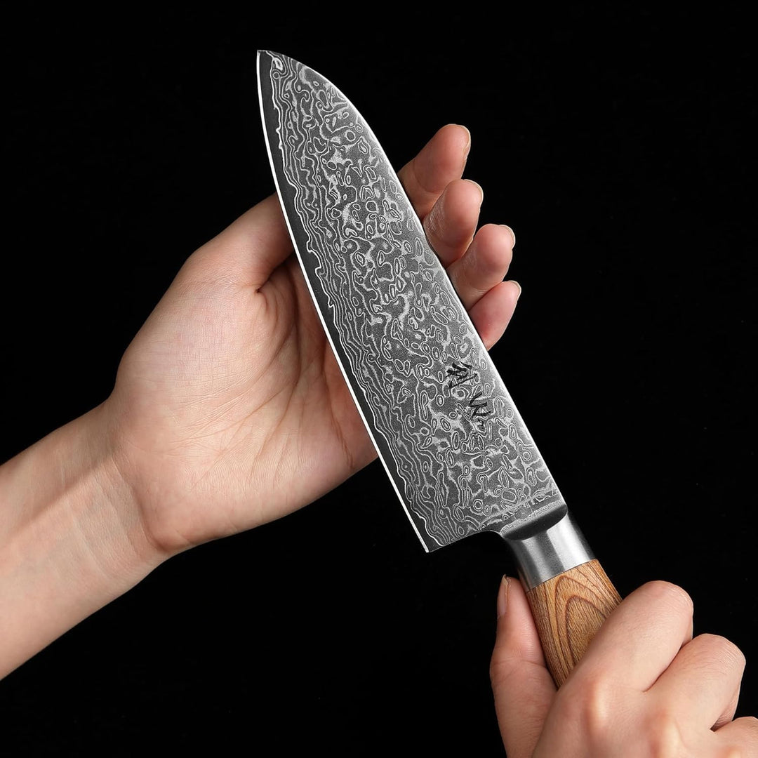 Wakoli EDIB Pro Premium 5er Damastmesser-Set mit 8-20 cm Klingen gefertigt aus 67 Lagen echtem Damas