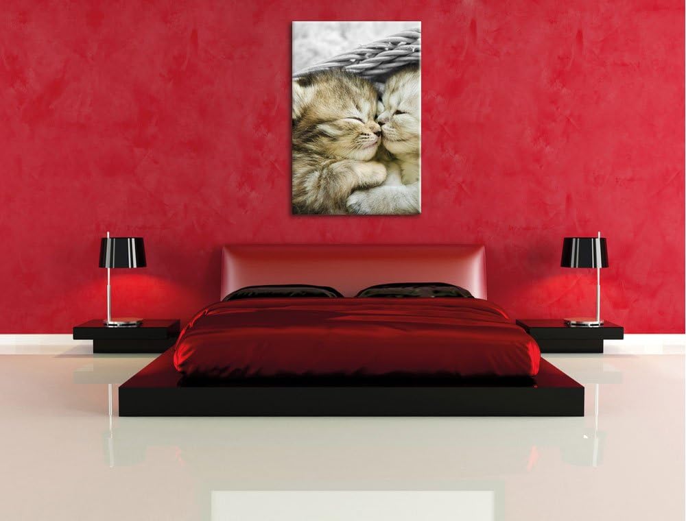 Pixxprint Zwei süsse Babykatzen im Korb als Leinwandbild/Grösse: 100x70 cm/Wandbild/Kunstdruck/ferti