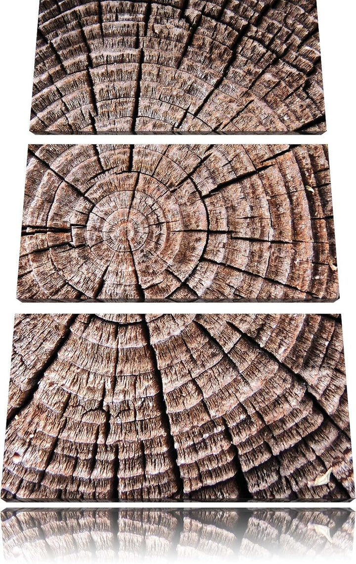 Pixxprint Baumstamm Jahresringe als Leinwandbild/Grösse: 3 Teilig (120x80) cm/Wandbild/Kunstdruck/fe