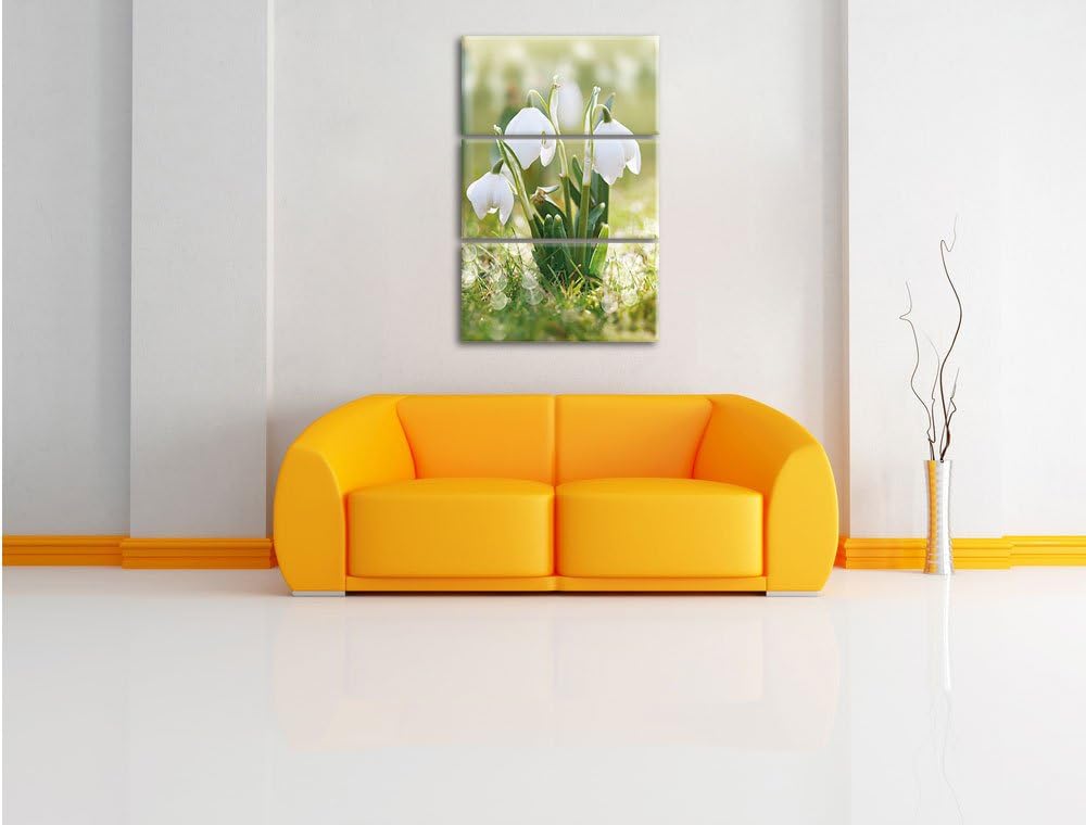 Pixxprint Schneeglöckchen als Leinwandbild/Grösse: 3 Teilig (120x80) cm/Wandbild/Kunstdruck/fertig b