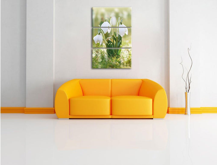 Pixxprint Schneeglöckchen als Leinwandbild/Grösse: 3 Teilig (120x80) cm/Wandbild/Kunstdruck/fertig b