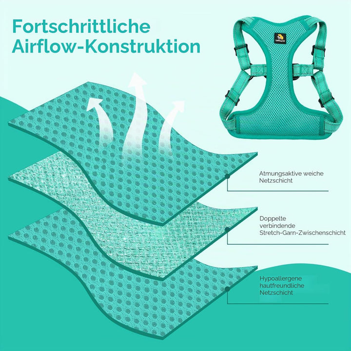 BELLA & PAL Hundegeschirr und Leine Set, Step-in Design mit atmungsaktivem Air-Mesh, reflektierenden