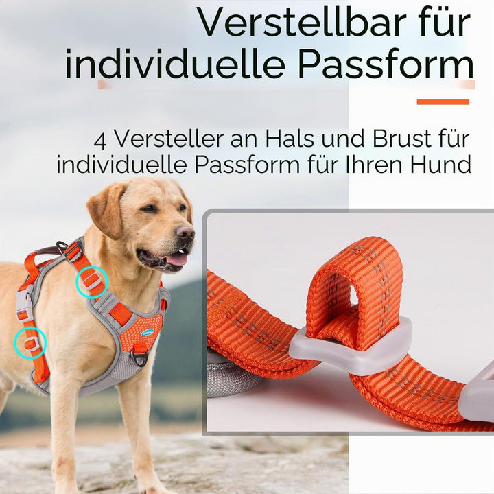 ThinkPet Anti-Zug Hundegeschirr Mit Griff - Leicht Zu Kontrollieren, Verstellbar Ohne Würgen, Reflek