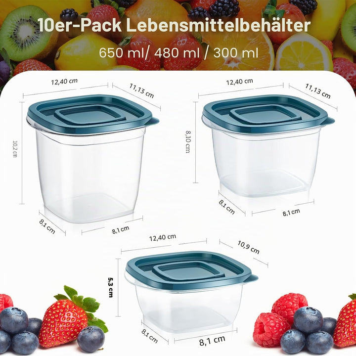 EFISH 9PCS Rechteck Kunststoff Portion Box Sets mit Deckel.Food Aufbewahrungsbox, Behälter Sets, Leb