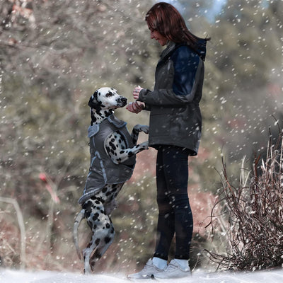 VIVAGLORY Hunde Wintermäntel, Schnee- und Winddicht Sowie Wasserabweisend Hunde Wintermantel mit Bau