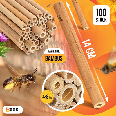 BEESI Bambusröhrchen für Insektenhotel I 14 cm Länge I Bambus für Bienenhotel I Füllmaterial Wildbie
