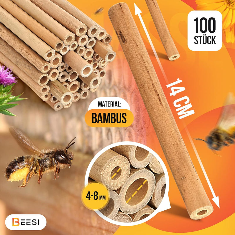 BEESI Bambusröhrchen für Insektenhotel I 14 cm Länge I Bambus für Bienenhotel I Füllmaterial Wildbie