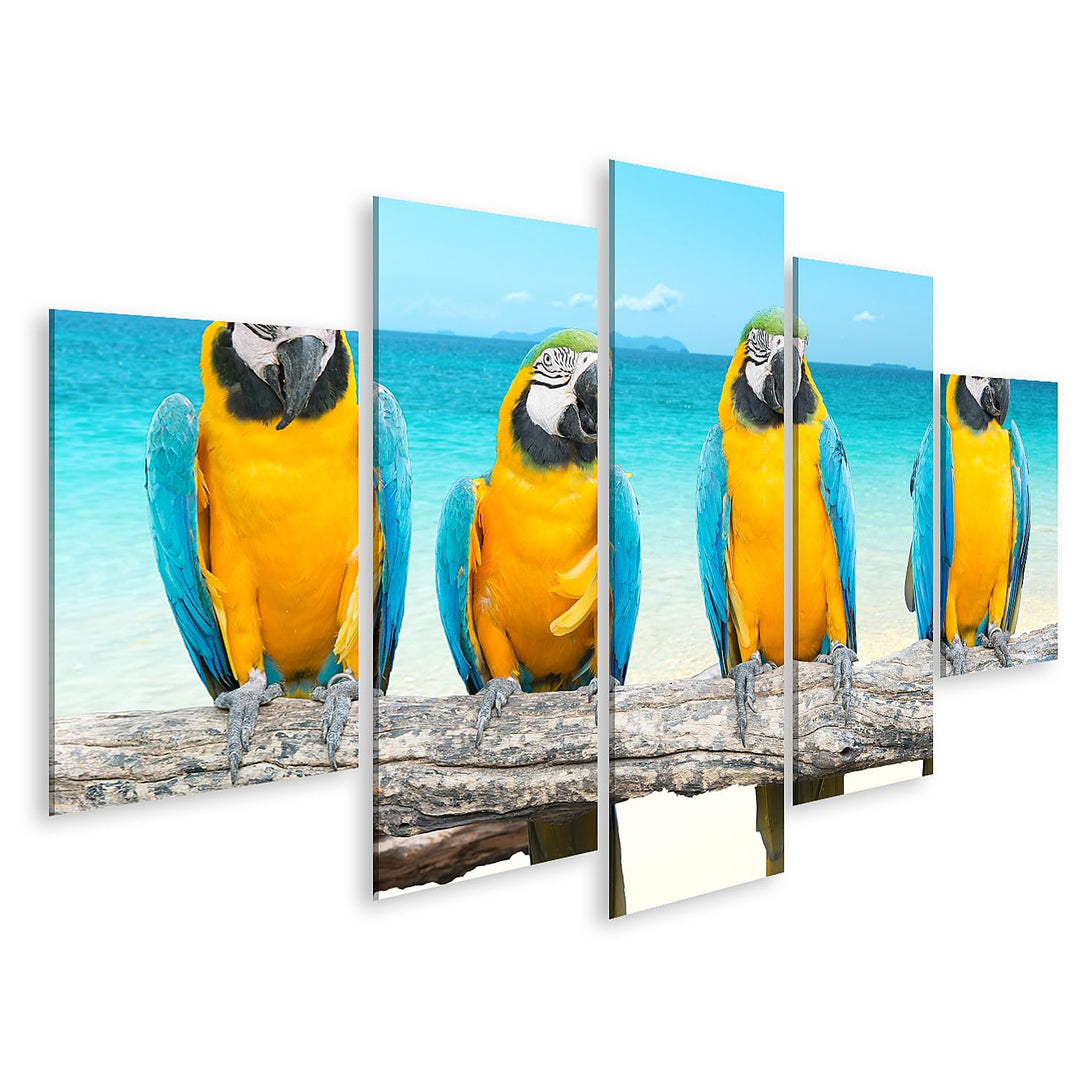 islandburner Bild auf Leinwand Ara Papagei Auf Ast Am Tropischen Schönen Strand Und Meer Bilder Wand