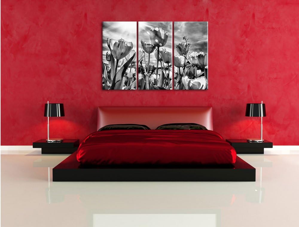 Pixxprint Blumenwiese als Leinwandbild/Grösse: 3 Teilig (120x80) / Wandbild/Kunstdruck/fertig bespan