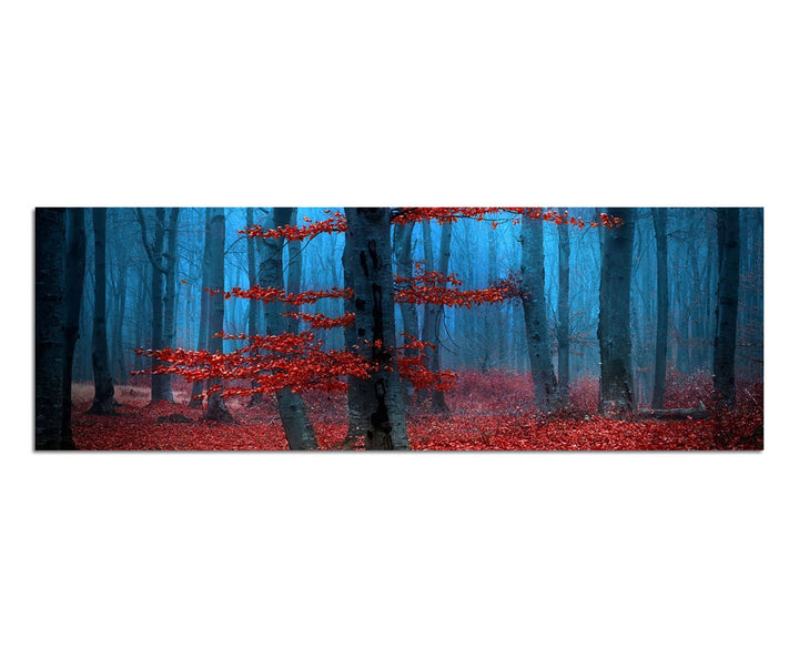 Paul Sinus Art Panoramabild auf Leinwand und Keilrahmen 150x50cm Wald Bäume Laub Herbst Nebel