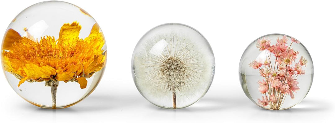 In Flore Dandelion Briefbeschwerer aus Harzglas, mit echtem Löwenzahn, 8 cm, weiss