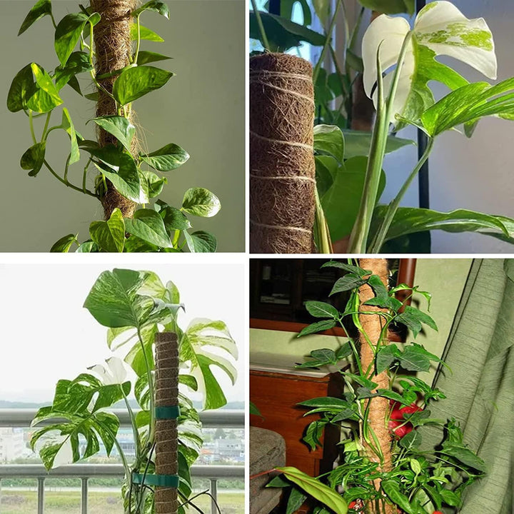 4 Stück Moosstab, 30cm Pflanzstab Kokos Moosstab, Monstera Rankhilfe, für Pflanzenklettern, Hausgart