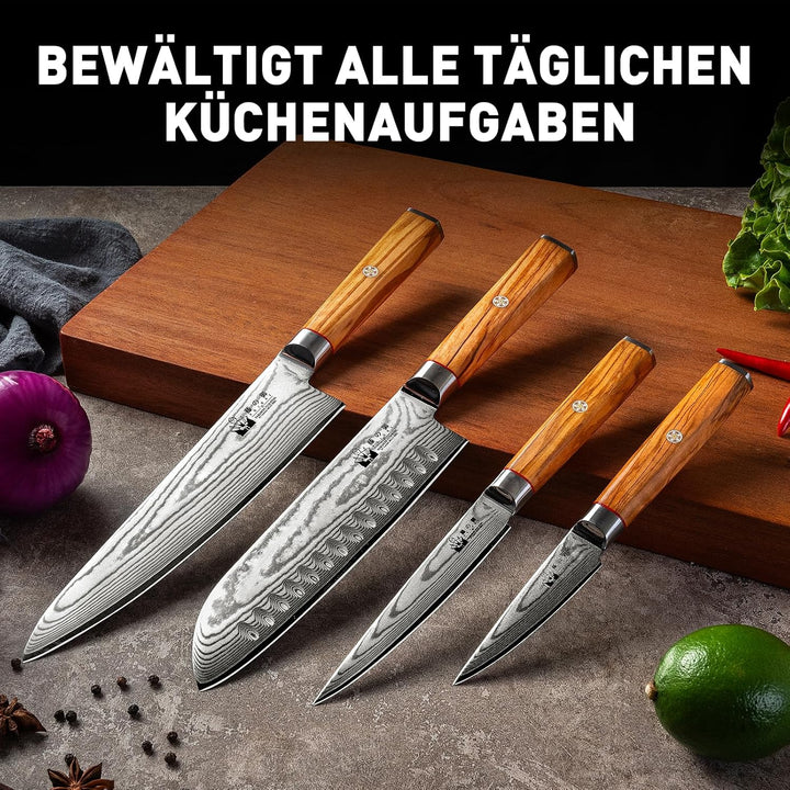 FUJUNI Damastmesser Set mit Block, 5-Teilig Messerset Damast Mit Extrem Scharf Klinge Aus 67 Lagen V