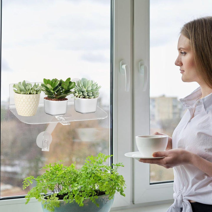 2 Stück Fenster Pflanzenregale: Clear Acryl Fenster Regal für Pflanzen mit Beinen, 30cm Hängendes tr