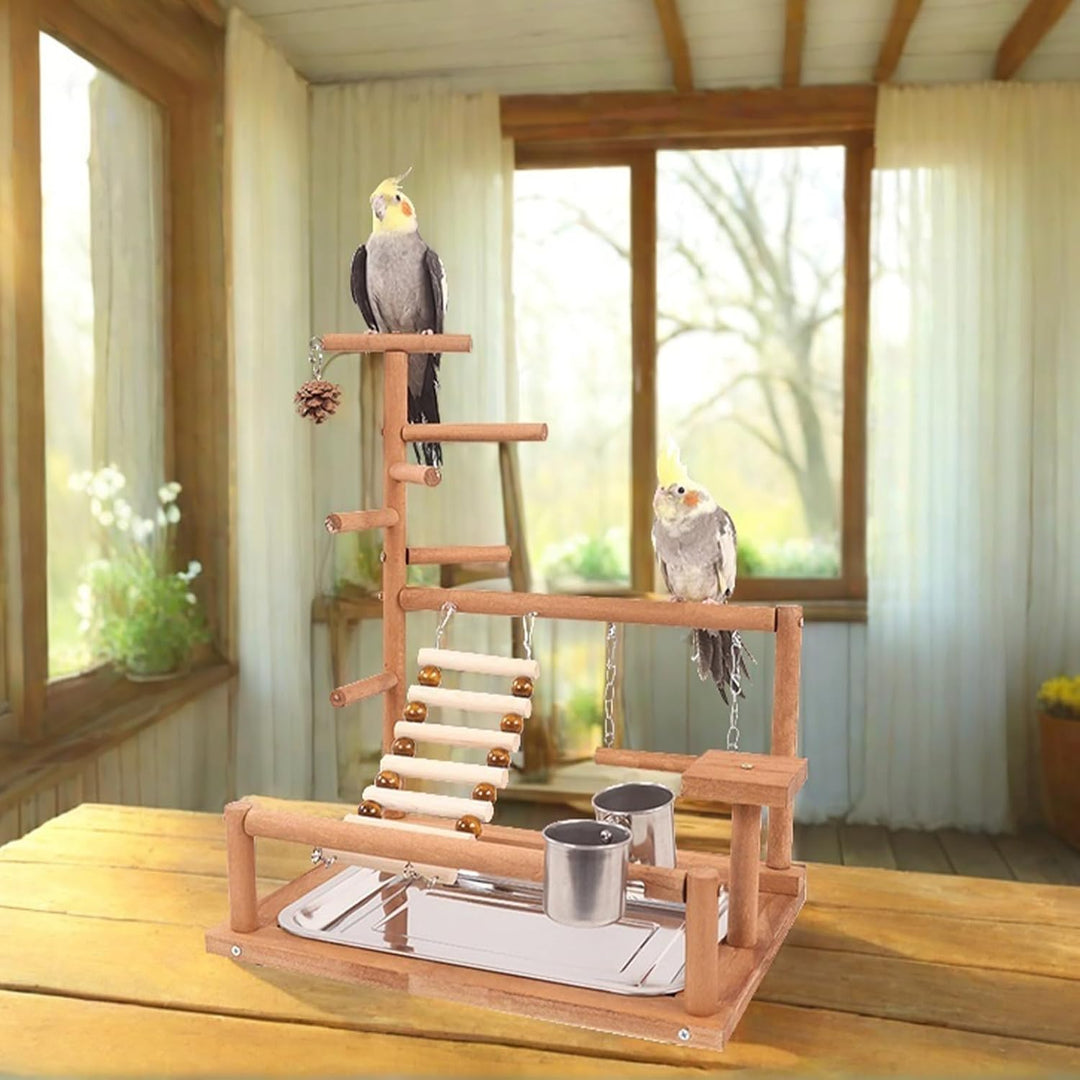 Parrot Playstand, Vögel Spielplatz, Wellensittich Spielzeug Vögel Spielplatz Papagei Spielplatz Papa