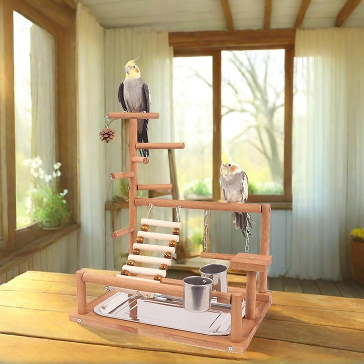 Parrot Playstand, Vögel Spielplatz, Wellensittich Spielzeug Vögel Spielplatz Papagei Spielplatz Papa