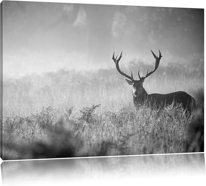 Pixxprint Rotwild Hirsch im Nebel Kunst B&W als Leinwandbild/Grösse: 100x70 cm/Wandbild/Kunstdruck/f