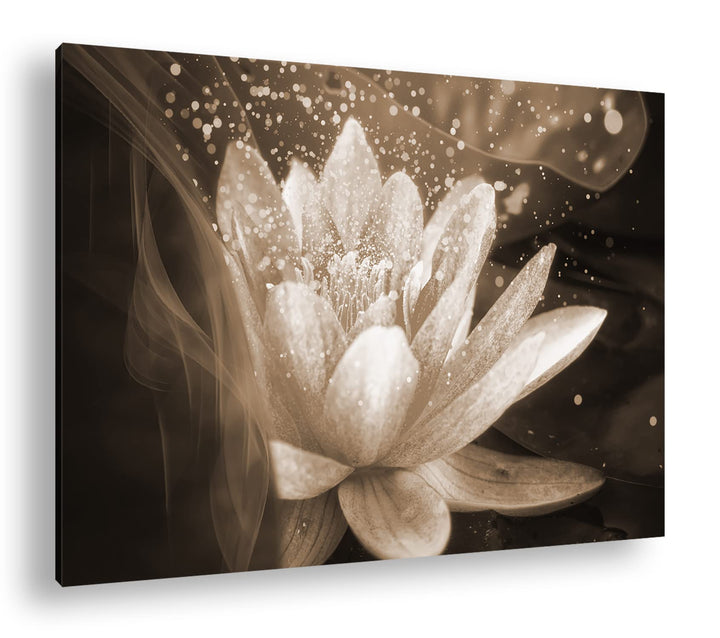 Lotus Seerose Format: 80x60 Effekt: Sepia als Leinwandbild, Motiv fertig gerahmt auf Echtholzrahmen,