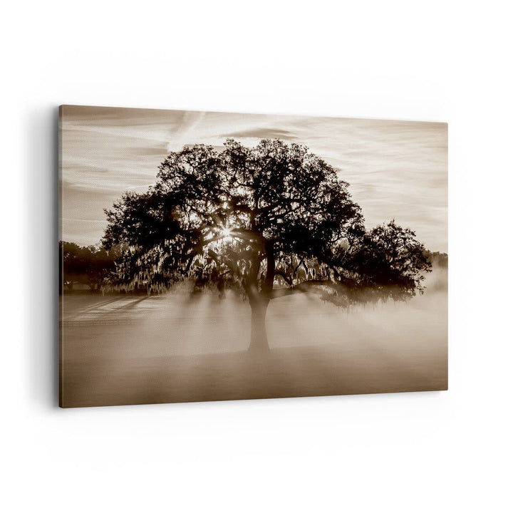 Bilder auf Leinwand 100x70cm Leinwandbild mit Rahmen Baum Feld Natur Gross Wanddeko Bild Schlafzimme