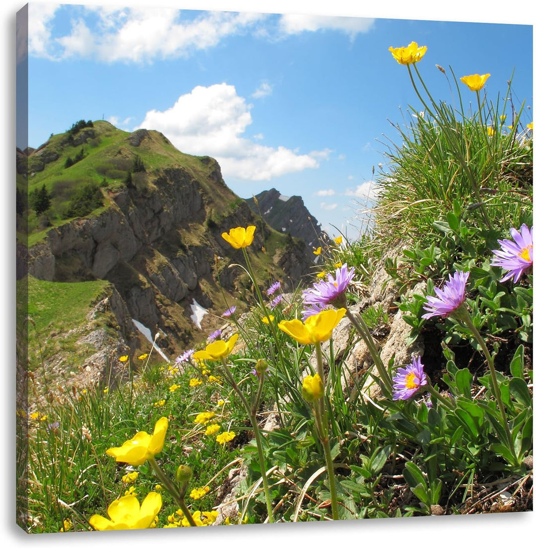 Blumenwiese im Frühling, Format: 70x70 auf Leinwand, XXL riesige Bilder fertig gerahmt mit Keilrahme