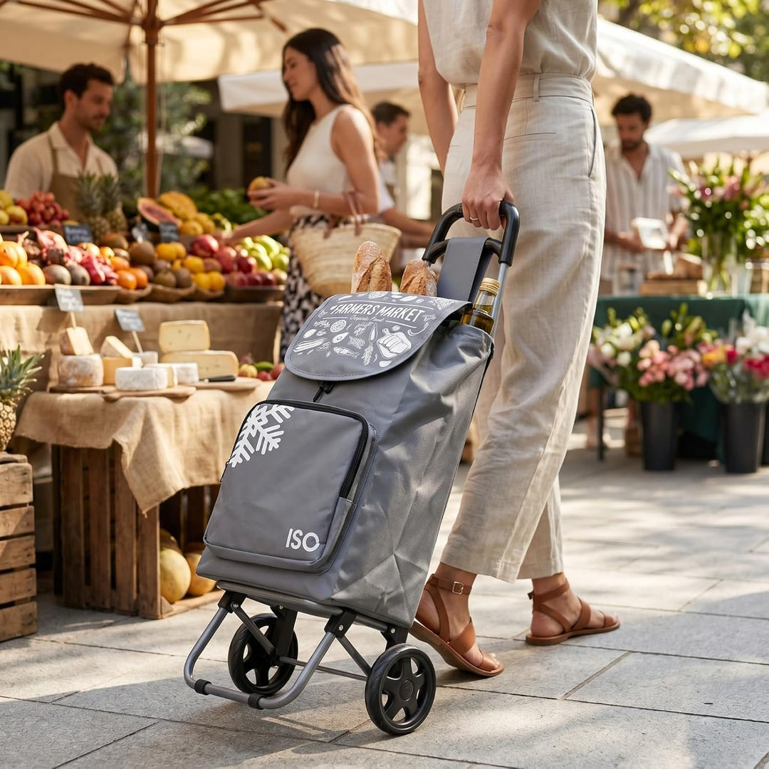 ELEPSO Einkaufstrolley mit Kühlfach 35L grau – Einkaufswagen leicht & stabil – Shopping Trolley für