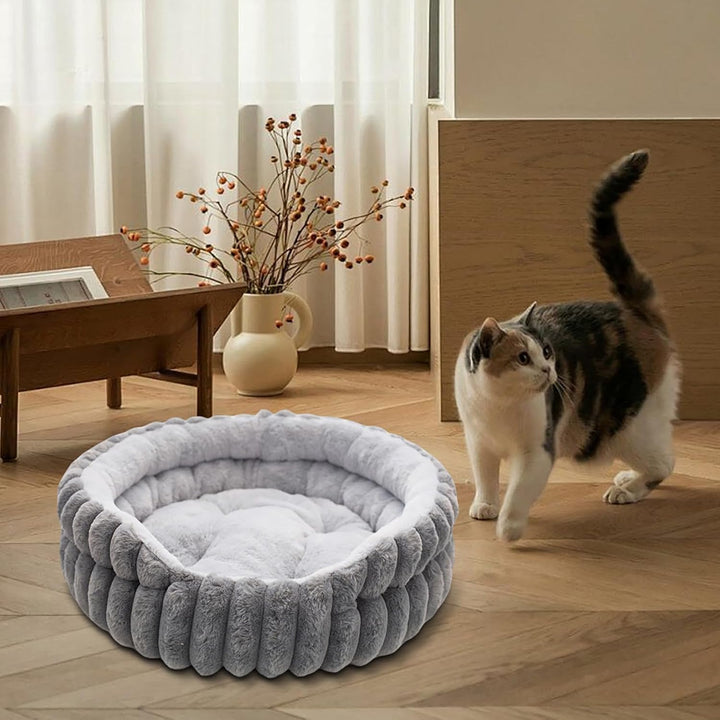 LUPATDY Hundebett, Katzenbetten für Katzen, Weiche Polsterung, Hundebett für kleine und mittelgrosse