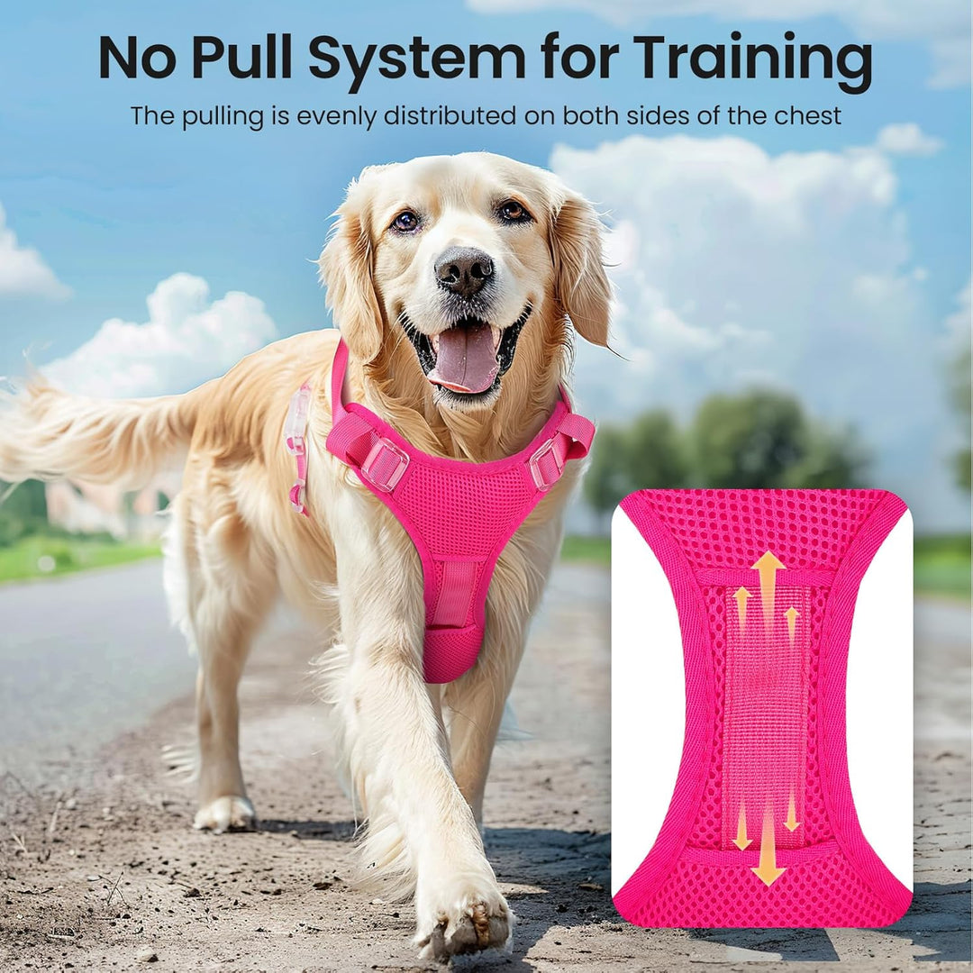 Light Up Dog Hundegeschirr Leuchtend LED Aufladbar - Leuchtgeschirr Leuchtend für Klein Mittelgrosse