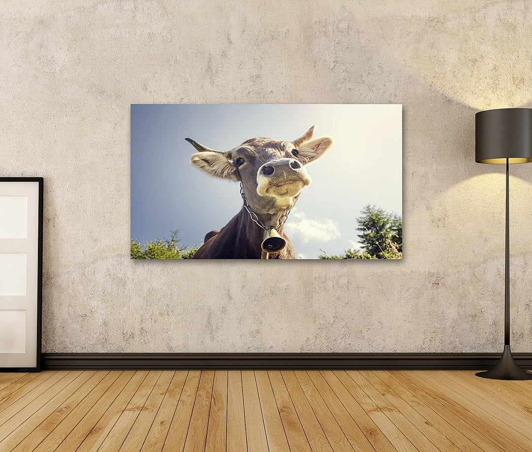 Bild auf Leinwand Porträt Einer Kuh mit Glocke Bilder Wandbild Poster Leinwandbild 100x57cm, 100x57c