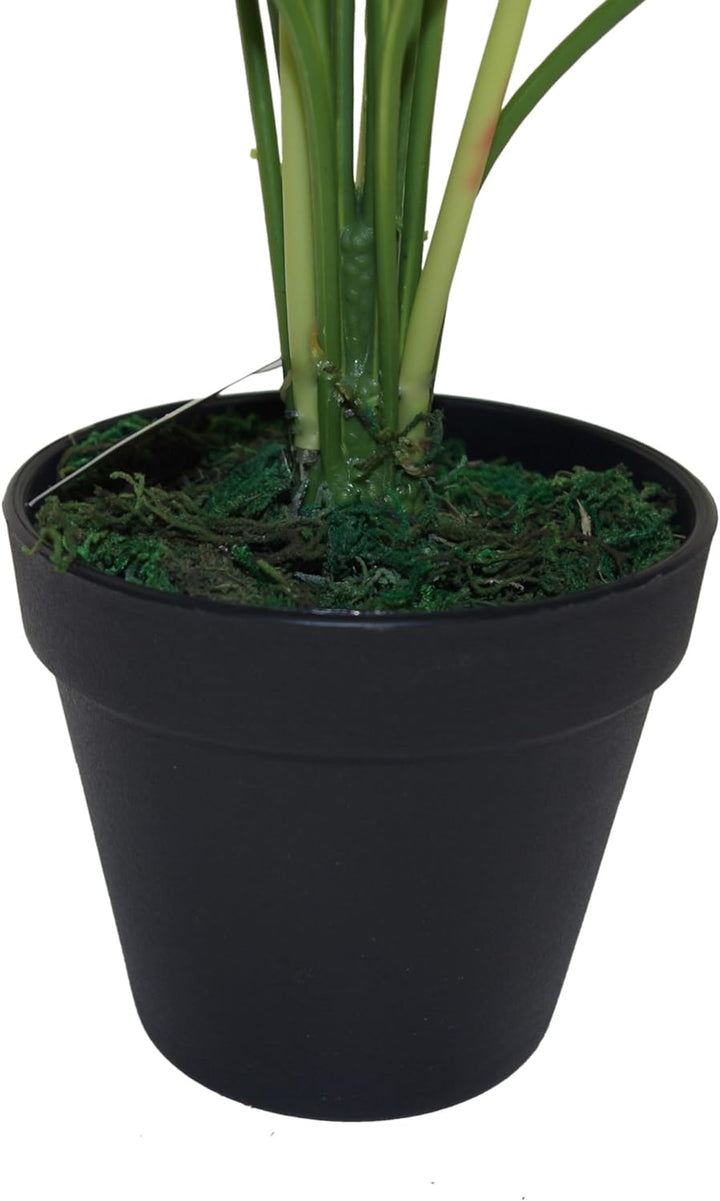 Leaf Design UK Realistische grosse künstliche Blattpflanze mit Topf Devils Ivy, 60 cm, Devils Ivy, 6