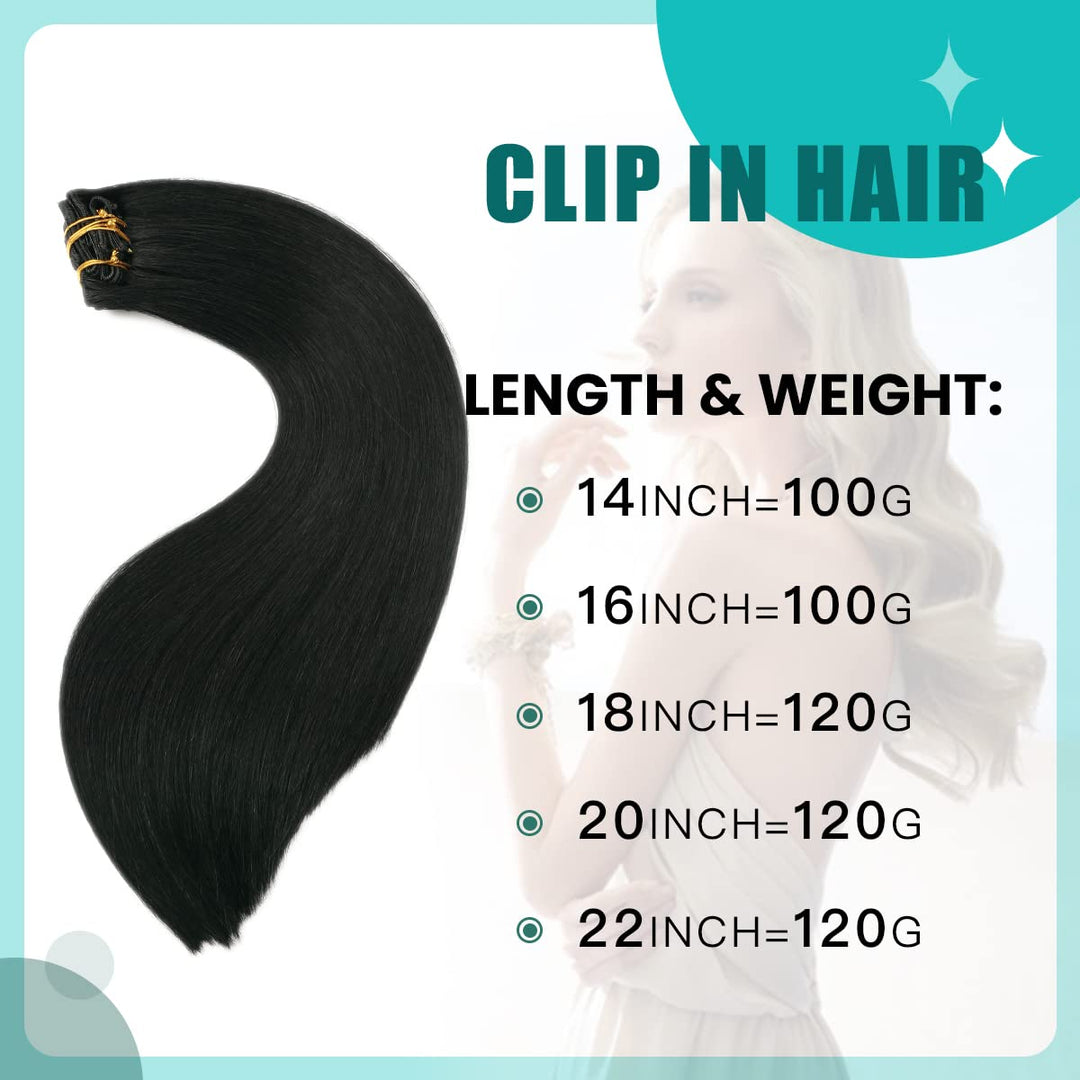 SURNEL Clip in Extensions Echthaar Remy #1 Schwarz Clip in Extensions 55cm 6pcs 120g(#1-22Zoll) 22zo