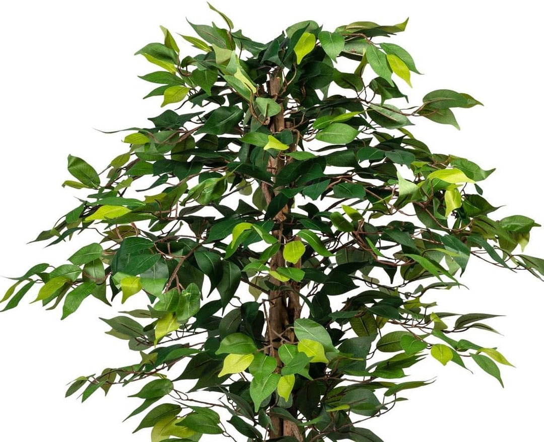 kunstpflanzen-Discount.com Ficus Kunstbaum 125cm mit 654 grüne Blätter und Naturstämme - Künstlicher