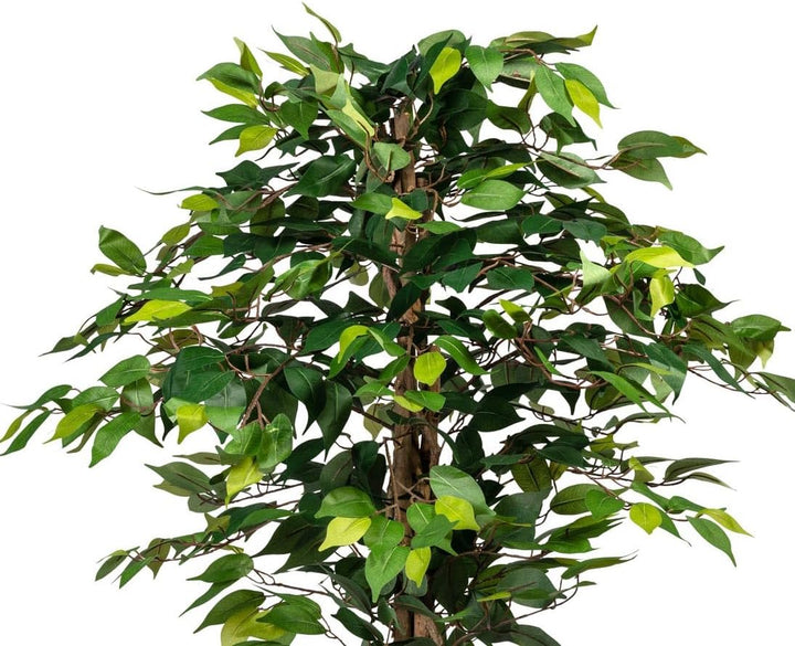 kunstpflanzen-Discount.com Ficus Kunstbaum 125cm mit 654 grüne Blätter und Naturstämme - Künstlicher