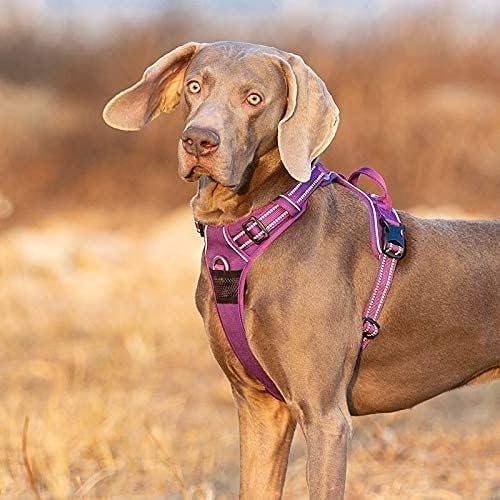 WINHYEPET Truelove No Pull Hundegeschirr, reflektierendes Hundegeschirr für Hunde, verstellbare weic