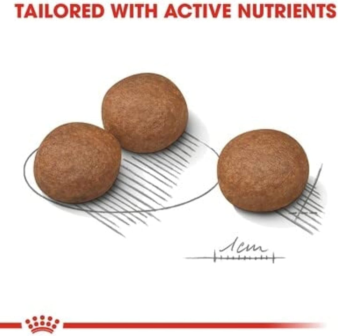 ROYAL CANIN Digestive Care Medium Poultry - Dry Dog Food - 12 kg