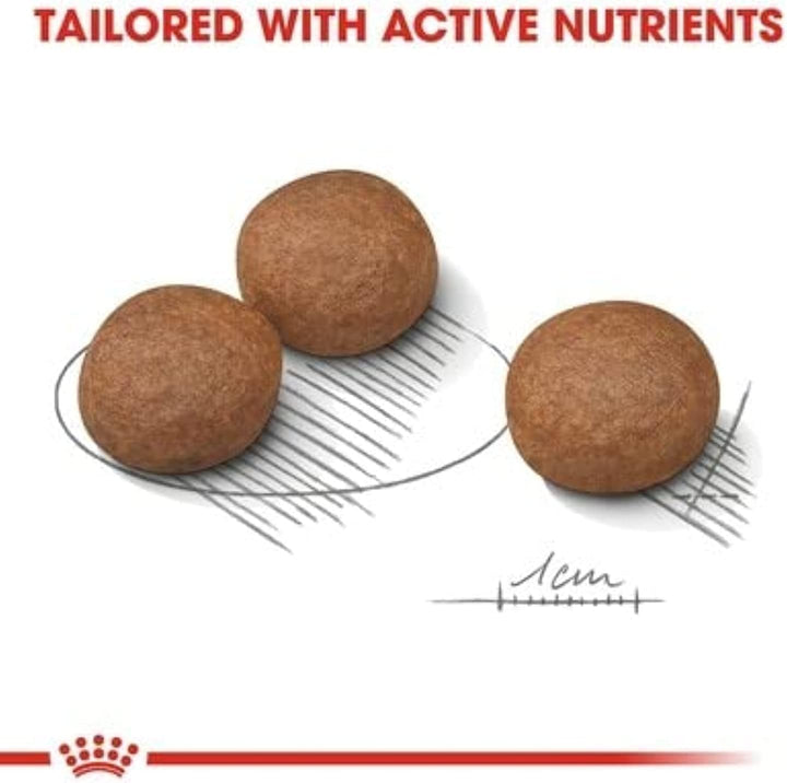 ROYAL CANIN Digestive Care Medium Poultry - Dry Dog Food - 12 kg