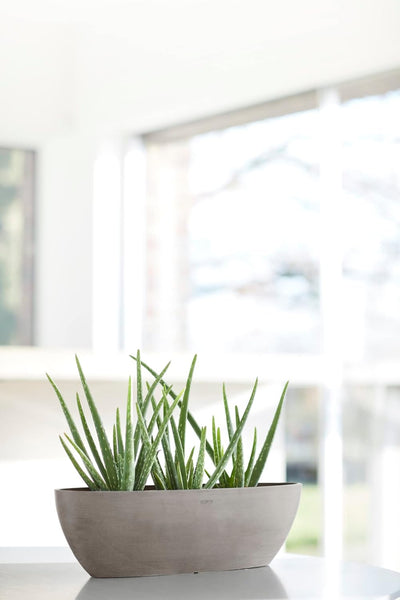 ECOPOTS Pflanzschale Sofia Dunkel Braun Grau - 56 x 14 cm oval gross - Pflanzentopf aus Recycling Ku