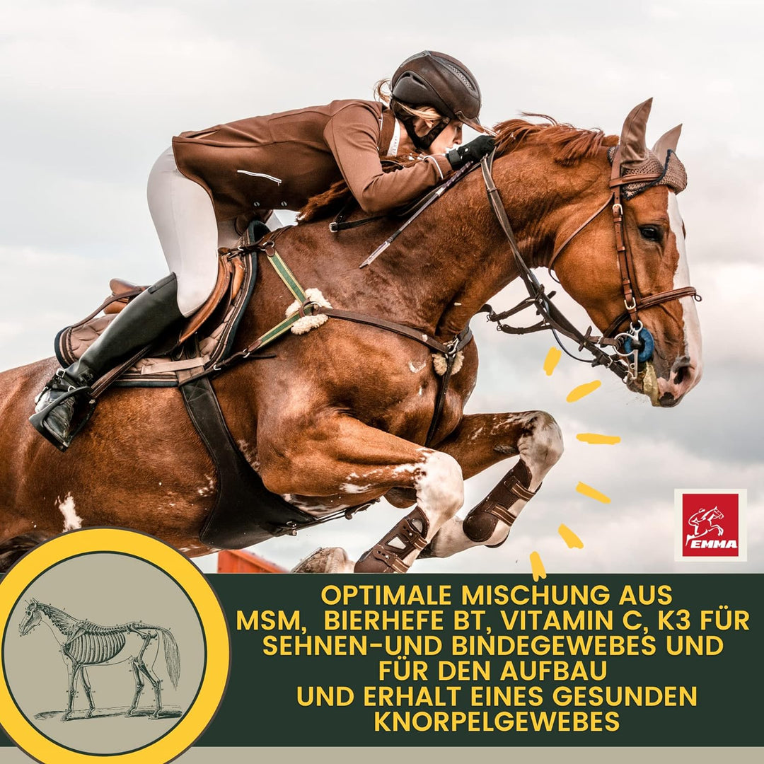 MSM Pulver I Gelenk Pulver für Pferde plus MSM Pferd - Knochen-Gelenk-Komplex mit Calcium Vitamin D