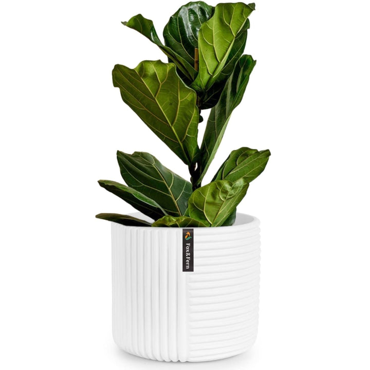 Fox&Fern Blumentopf M mit Linienstruktur - 24cm grosser Übertopf inklusive Wasserabfluss für Pflanze