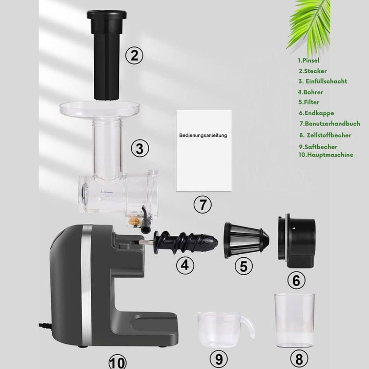 Slow Juicer mit 200W Motor, leise, Umkehrfunktion, schonende Saftpresse, langsame Rotation, einfache