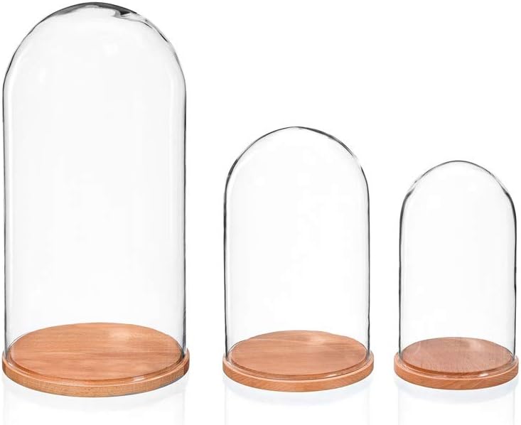 EMH Grosse Glasglocke natur, Durchmesser 21 cm, Höhe 51,5 cm, Glaskuppel 50 cm, Holzsockel, Transpar