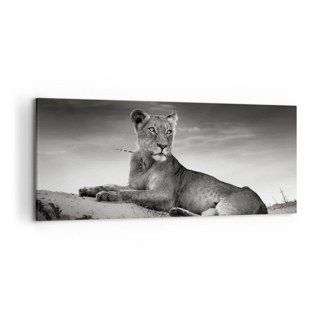 Wandbilder Dekoration Wohnzimmer Tierwelt weiblich katze Tier Panorama Bilder auf Leinwand 120x50cm