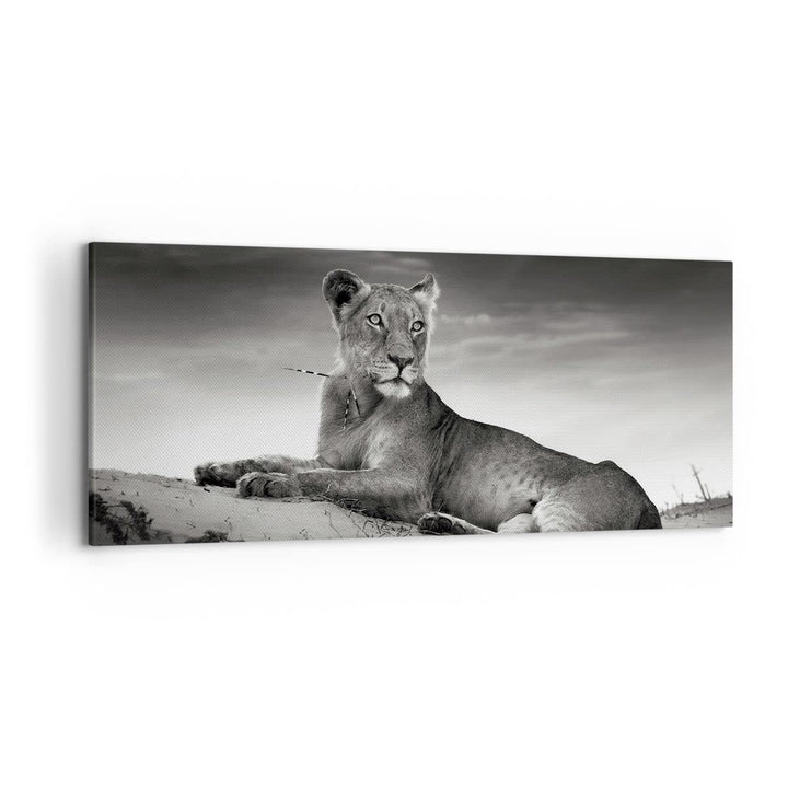 Wandbilder Dekoration Wohnzimmer Tierwelt weiblich katze Tier Panorama Bilder auf Leinwand 120x50cm