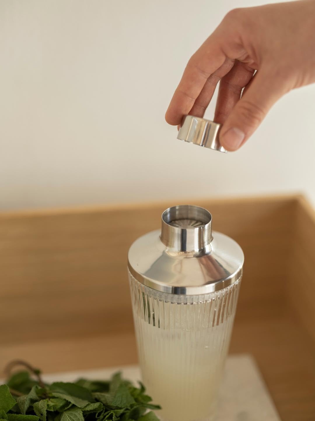 Stelton Pilastro Cocktail Shaker clear