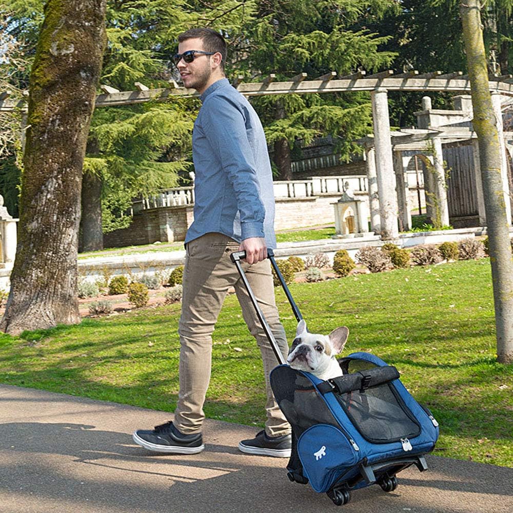 Transportbox für Kleine Hunde und Katzen Trolley mit Rollen, Rucksack für Kleine Hunde Katzen, Teles