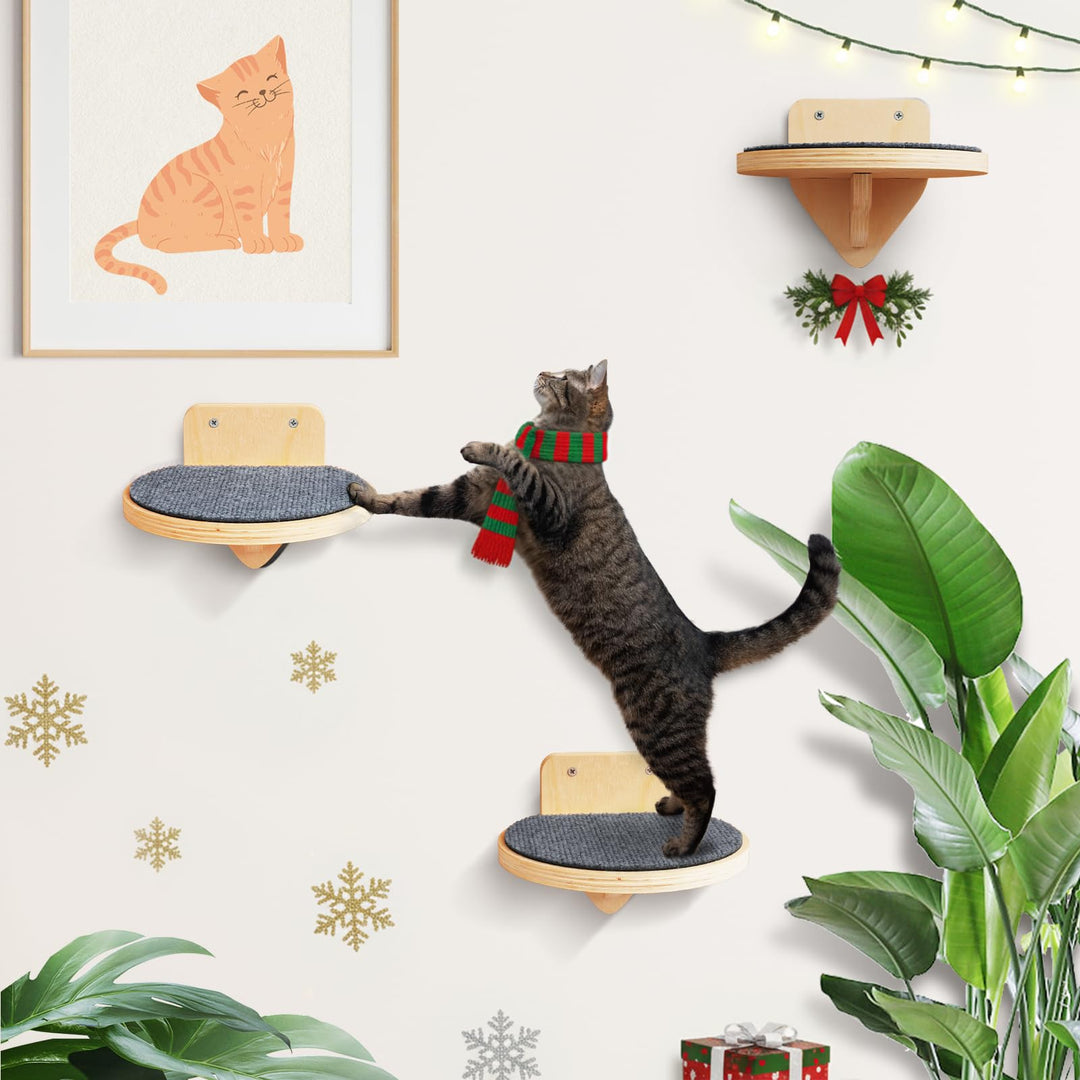 XL Premium Kletterwand Katzen aus Birkenholz | 3er-Set Katzentreppen mit Kratzflächen | Wandmontage
